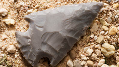 Пещерните хора са ловували с "биологични оръжия" още преди 60 хил. години