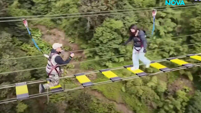 Романтично и екстремно предложение за брак над пропаст във Виетнам (ВИДЕО)
