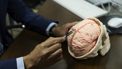 Как мозъкът може да „изключи“ болката – науката зад удивителния механизъм