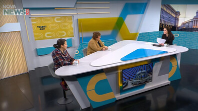 Политолози и експерти критикуват ограничаването на секциите за гласуване извън страната