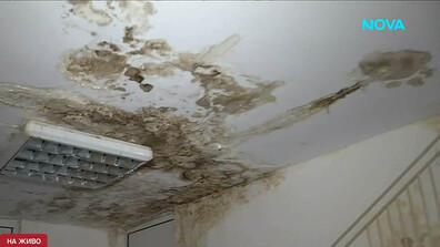 Течащ покрив и вода по стените в детска ясла в Пловдив