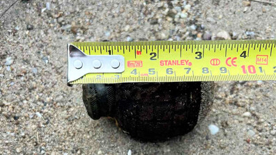 Обезвредиха ръчна граната в Плевенско