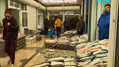 В Черно море ли е най-вкусната риба