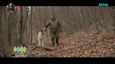 "Да хванеш гората": От София до Габровския Балкан (ВИДЕО)