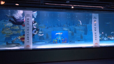 Водолази в традиционни носии с представление в аквариума в Сеул