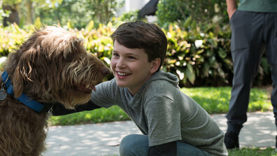 Революционно изобретение и заплетено убийство с филмите по NOVA