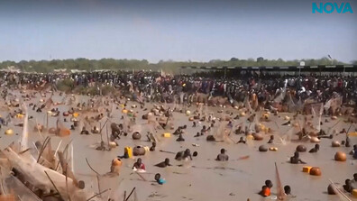 В търсене на най-големия сом: Хиляди влязоха в реката в Аргунгу