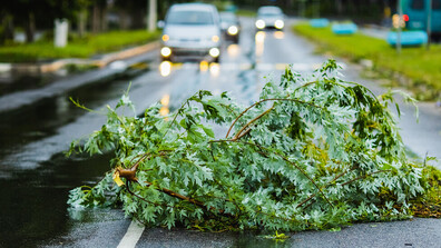Мощни бури в Турция: Отнесени покриви, паднали дървета и съборени бетонни огради (ВИДЕО)