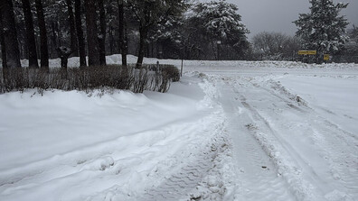 Валежите този февруари са били сред най-обилните от началото на века