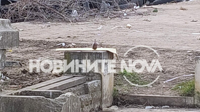 Бездомник откри граната в боклука до бензиностанция в Монтана (СНИМКИ)