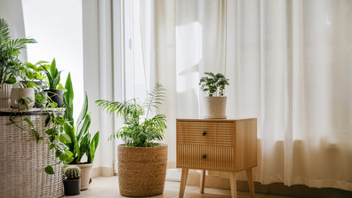 „Живей красиво”: Как да изберем перфектните завеси за дома