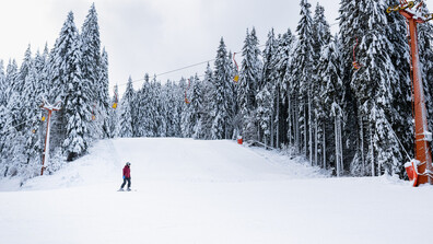 Безопасността на пистите: Може ли да бъдат предотвратени инцидентите