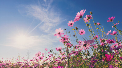 До 15 градуса в Деня на жената