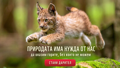 Природата има нужда от нас – юбилейна кампания на WWF ни призовава да я пазим