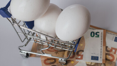 Гърция изплаща помощи за високите цени на горивата и хранителните продукти