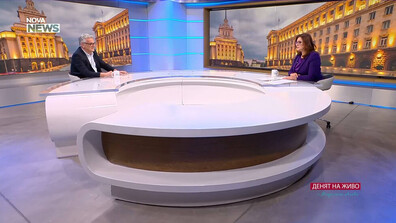 Яни Янев за слънчогледа от Аржентина: Ще се ползва за индустриални цели, суровината у нас не е достатъчна за преработвателите ни