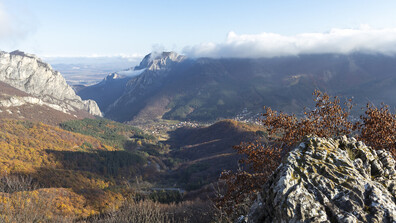 Земеделският министър смени директорите на три държавни горски предприятия
