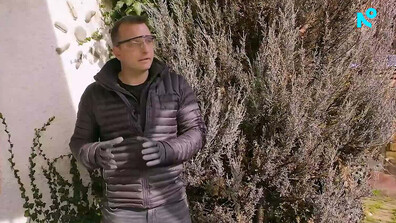 „Нищо лично”: Как се препарира хипопотам джудже