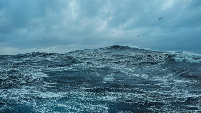 Морето у нас изхвърли два трупа, единият - на гола жена