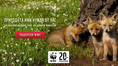 WWF − една от най-големите природозащитни организации у нас навърши 20 години