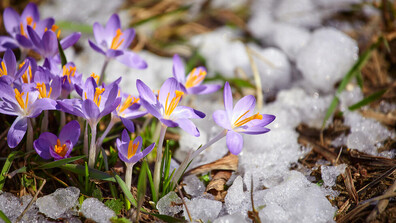 Нов циклон в края на март: Има ли опасност от наводнения