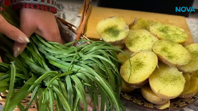 „Зеленото злато” на Конаре: Фестивал на самардалата събра млади и стари