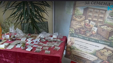 „Библиотека за семена” в село Книжовник съхранява стари български сортове