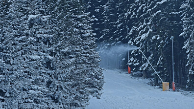 Откриха четирима младежи, затънали с автомобил в района на хижа „Марица“