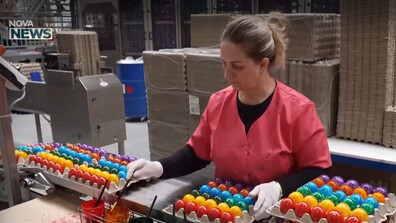 Работилница в Германия вари и боядисва яйца по 70-годишна рецепта (ВИДЕО)