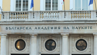 Захарни цветя „разцъфват“ в Ботаническата градина на БАН по повод Цветница