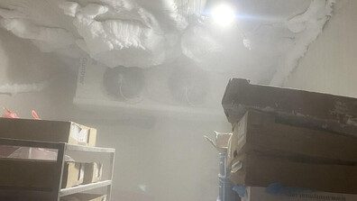 БАБХ затвори месопреработвателно предприятие в Монтана заради тежки нарушения на хигиената