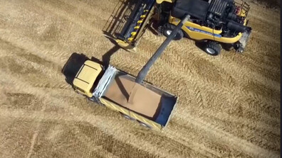 С 30% по-скъпи торове и липса на ликвидност: Зърнопроизводителите настояват за спешни мерки