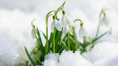 Март 2026 г. е по-студен от миналогодишния