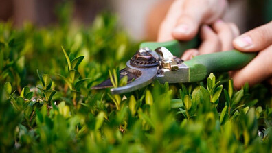 5 причини да превърнете празната стена в жива картина