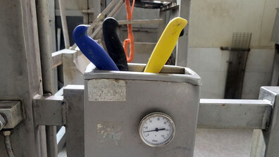 БАБХ спря месодобивно предприятие в Лесидрен заради плесен и куп нарушения