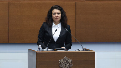 Бившият шеф на Института по криминалистика: До 23 март са извършени 52 експертизи по делото „Петрохан-Околчица“