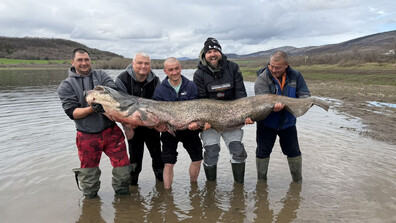 Уловиха гигантски сом, дълъг близо 2,5 м, в язовир „Огоста” (СНИМКИ)