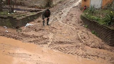 Предстои финал на кампанията „Повече българчета за България" 2026 на Тройка на разсъмване и радио Витоша