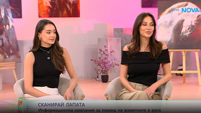 Кампанията „Сканирай лапата“ е насочена към личната отговорност на стопаните на домашни любимци