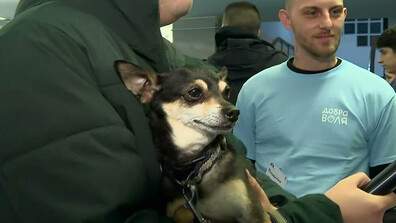 Студенти от НБУ с кауза за бездомните животни