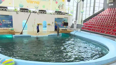 Великден с делфините от Варна