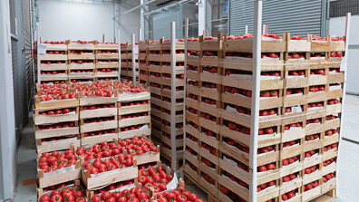 БАБХ не допусна над 370 тона храни от трети страни за месец