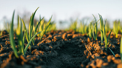 Растящите разходи в земеделието водят до напрежение в сектора