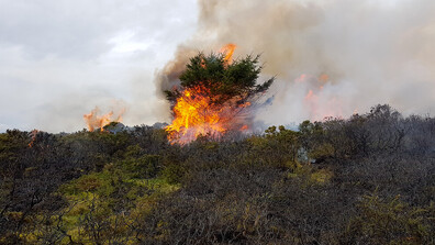 Индонезия започна мащабни учения за реакция при горски пожари