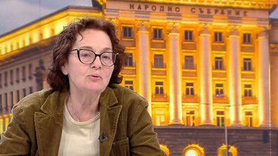 Румяна Коларова: Това, че се появи нова партия е нормален процес