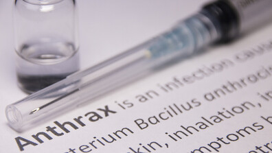 След разкритията за месо с антракс: Какви са симптомите на заразата при човека и как да се предпазим