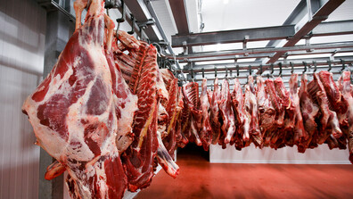 Унищожиха над 7 тона негодно месо от кланица в Търговишко