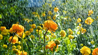 Оранжев и жълт код за значителни валежи в голяма част от страната