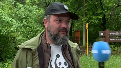 Мечки на Витоша: Опасни ли са разходките в любимата ни планина