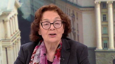 Проф. Коларова: Правителството на Румен Радев се намира в една неблагоприятна икономическа обстановка
